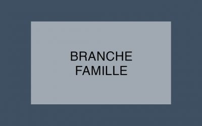 HOLD UP dans la Branche FAMILLE !