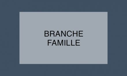 La Branche Famille dans la tourmente