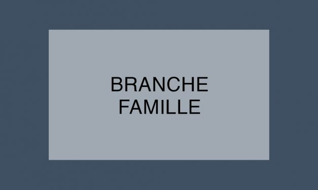 La Branche Famille dans la tourmente