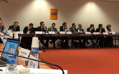 RSI : Cinq Directeurs Généraux au chevet du RSI