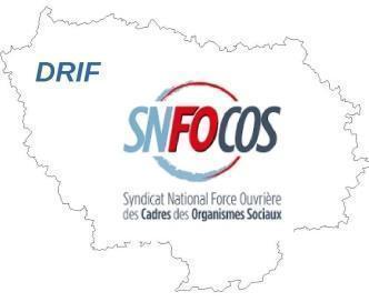 Appel à la mobilisation générale le 17 décembre 2024 à l’initiative de la DRIF SNFOCOS –